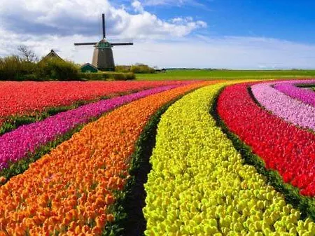 Apartmán Boerderij Jachtlust