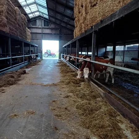 Boerderij Jachtlust Διαμέρισμα *