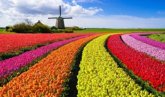 Apartamento Boerderij Jachtlust