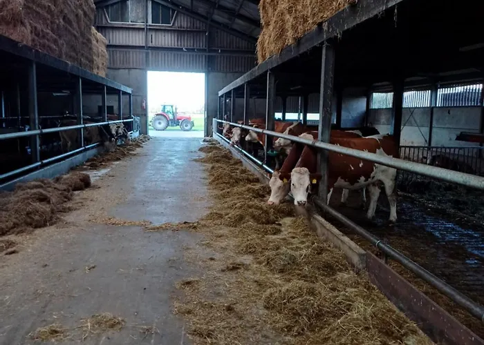 Boerderij Jachtlust شقة *